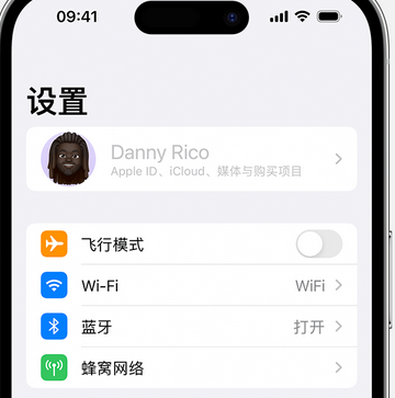 进贤appleID维修服务iPhone设置中Apple ID显示为灰色无法使用 