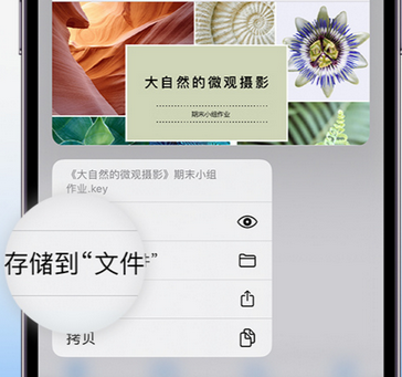 进贤apple维修中心分享iPhone文件应用中存储和找到下载文件