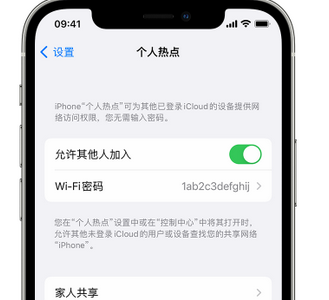 进贤apple服务站点分享iPhone上个人热点丢失了怎么办 