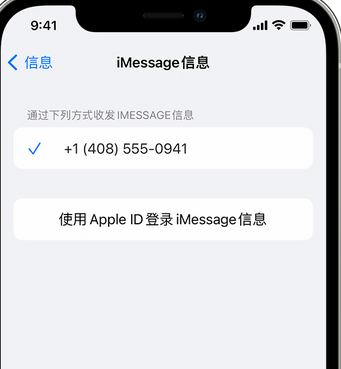 进贤apple维修iPhone上无法正常发送iMessage信息 