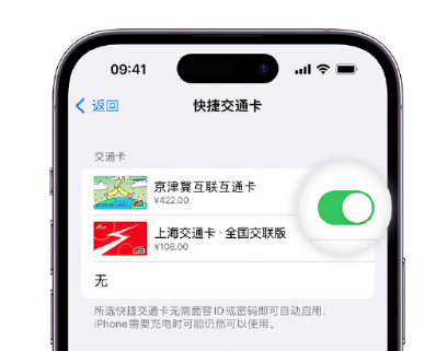 进贤apple维修点分享iPhone上更换Apple Pay快捷交通卡手绘卡面 