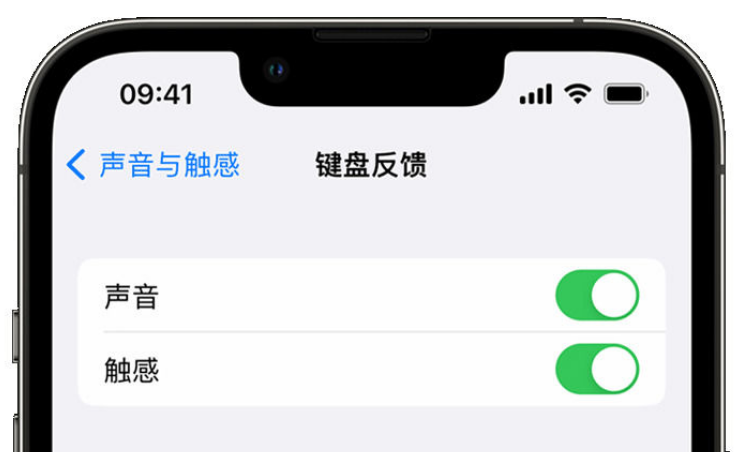 进贤苹果手机维修分享iPhone 14触感键盘使用方法 