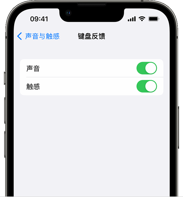 进贤苹果14维修店分享如何在 iPhone 14 机型中使用触感键盘 