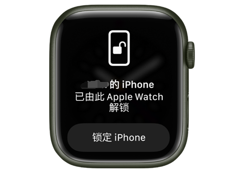 进贤苹果手机维修分享用 AppleWatch 解锁配备面容 ID 的 iPhone方法 