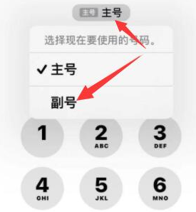 进贤苹果14维修店分享iPhone 14 Pro Max使用副卡打电话的方法 