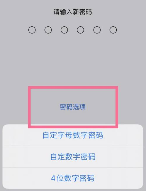 进贤苹果14维修分享iPhone 14plus设置密码的方法 