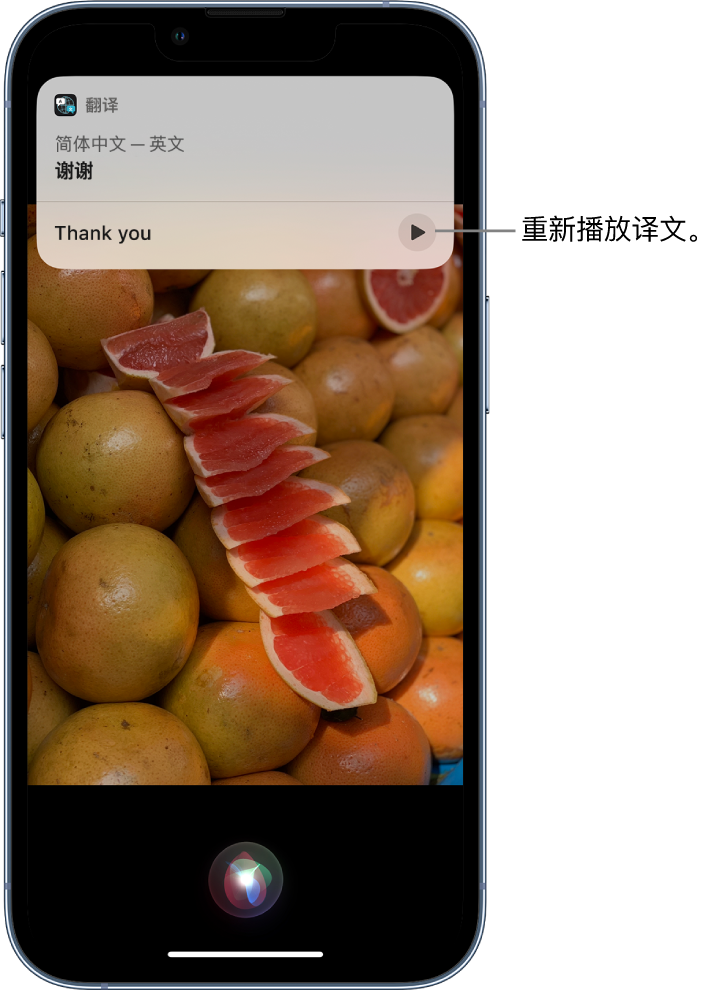 进贤苹果14维修分享 iPhone 14 机型中使用 Siri：了解 Siri 能帮你做什么 