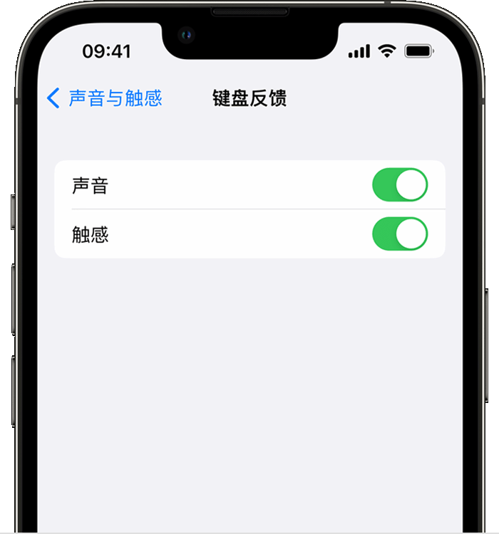 进贤苹果14维修分享iPhone 14 系列机型如何开启键盘声音或触感反馈 