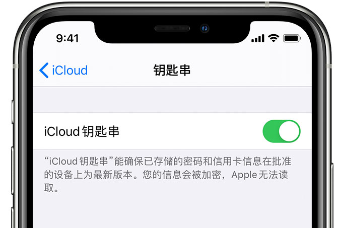 进贤苹果手机维修分享在 iPhone 上开启 iCloud 钥匙串之后会储存哪些信息 