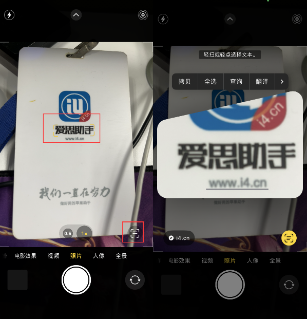 进贤苹果手机维修分享升级iOS 16后如何通过相机翻译文本 