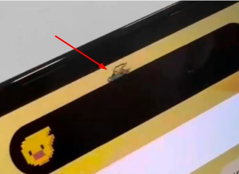 进贤苹果14维修分享iPhone 14 Pro Max灵动岛怎么养宠物 
