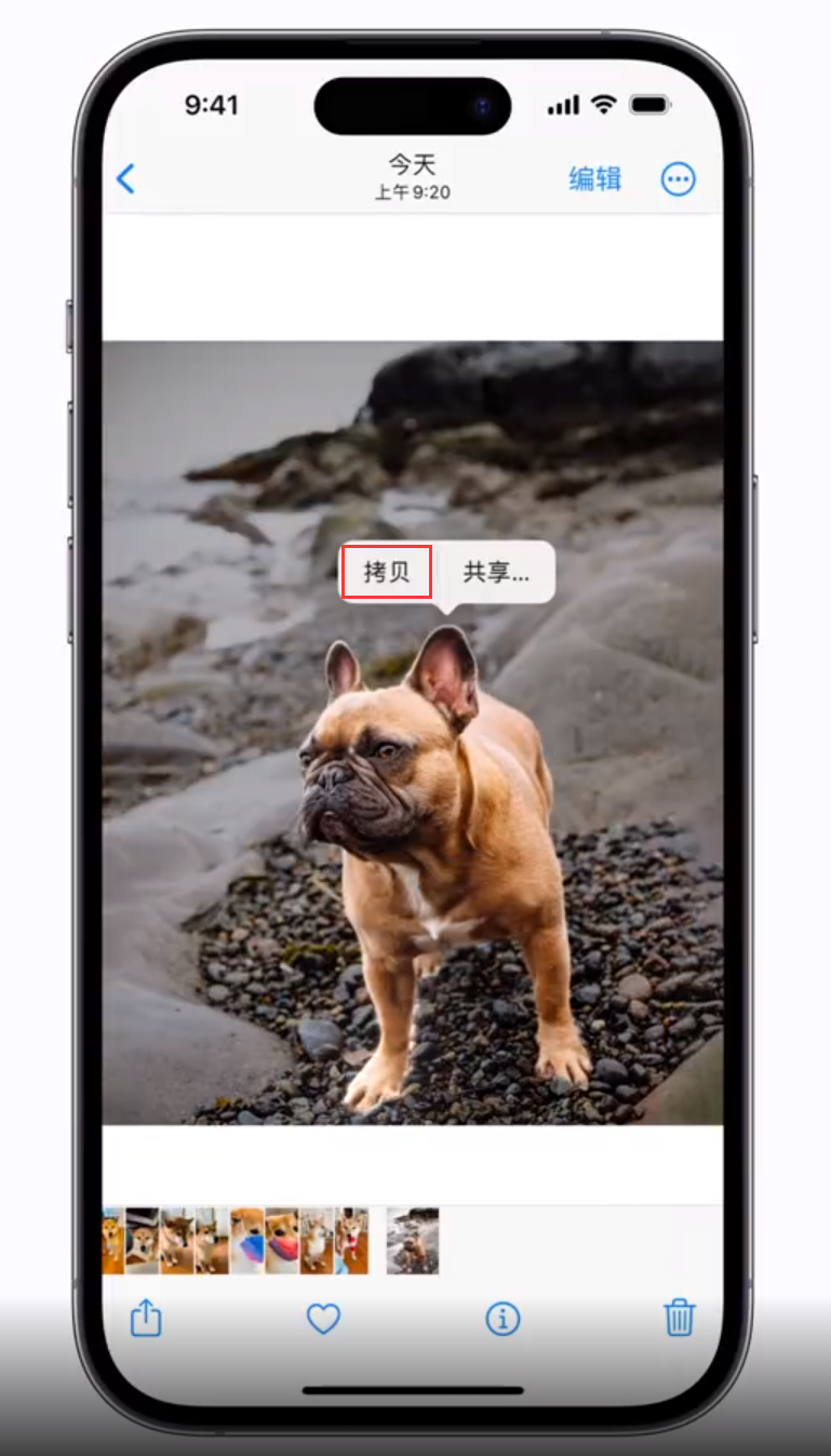 进贤苹果手机维修分享 iOS 16 自带一键抠图功能 