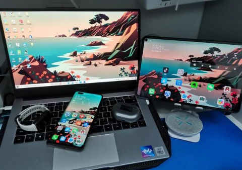 进贤苹果手机维修分享为什么iPad屏幕更大价格却比iPhone低 