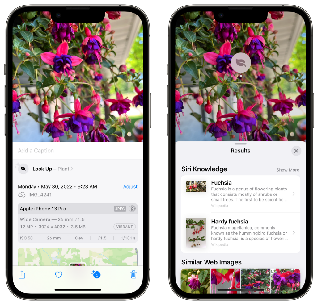进贤苹果手机维修分享小技巧：使用 iPhone 相机识别花卉植物 