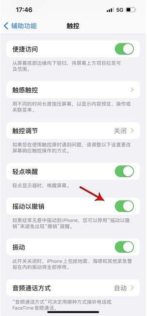 进贤苹果手机维修分享iPhone手机如何设置摇一摇删除文字 