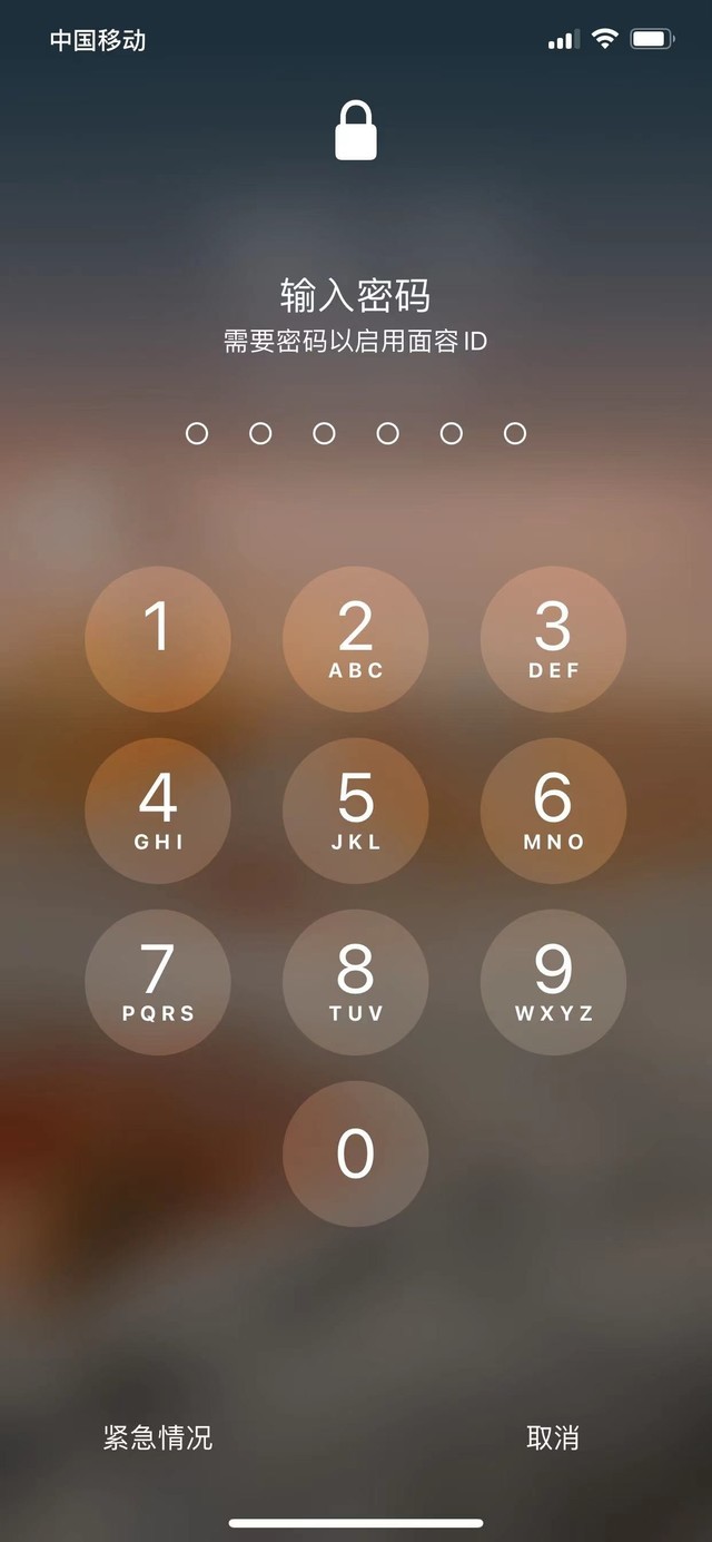 进贤苹果13维修分享iPhone 13加强锁屏功能有什么用 