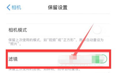 进贤苹果13维修分享iPhone13拍照有绿点是怎么回事 