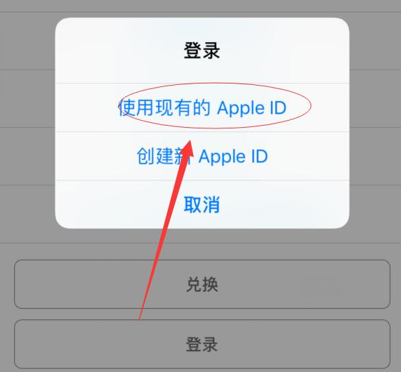 进贤苹果手机维修分享两台iPhone设备可以同时登录一个Apple ID吗 